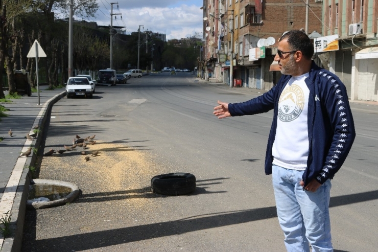 Sağlık Personeli Aç Kalan Sokak Hayvanlarını Unutmadı