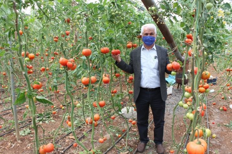 Üreticilerin Korona Endişesi