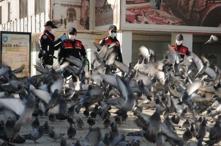Kentin ’Güvercinleri’ De Onlara Emanet