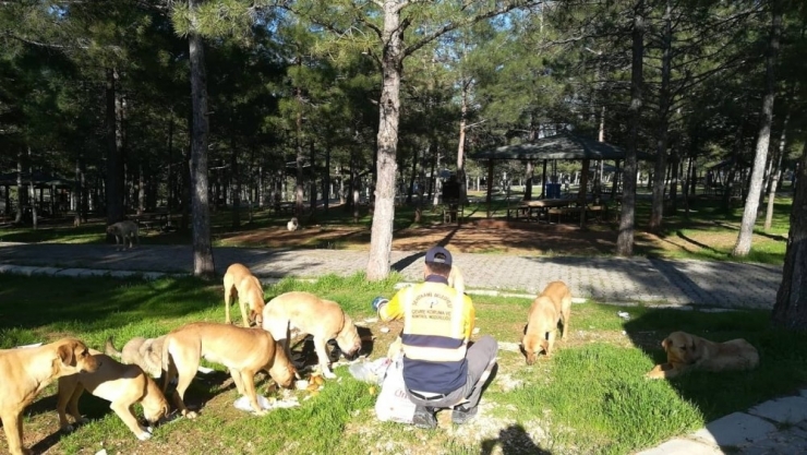 Fadıloğlu Yürüttükleri Çalışmaları Anlattı