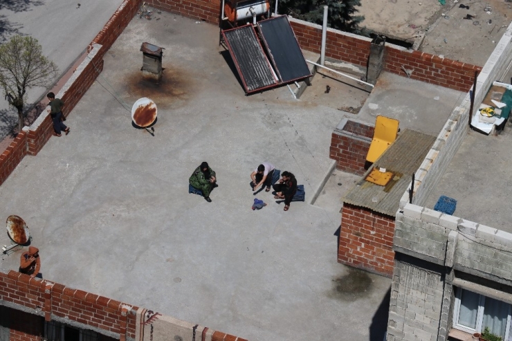 Sokağa Çıkamayınca Damlara Çıktılar