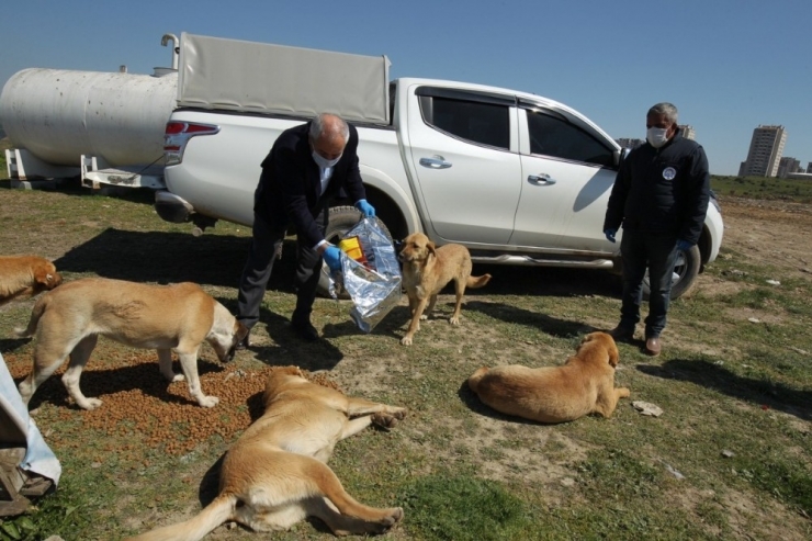 Başkan Büyükgöz Verilen Hizmetleri Sahada Denetleri