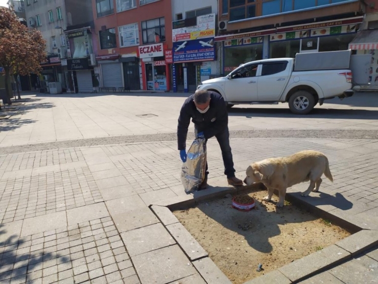 Gebze’de Korona Virüs Tedbirleri 7 Gün 24 Saat Sürüyor