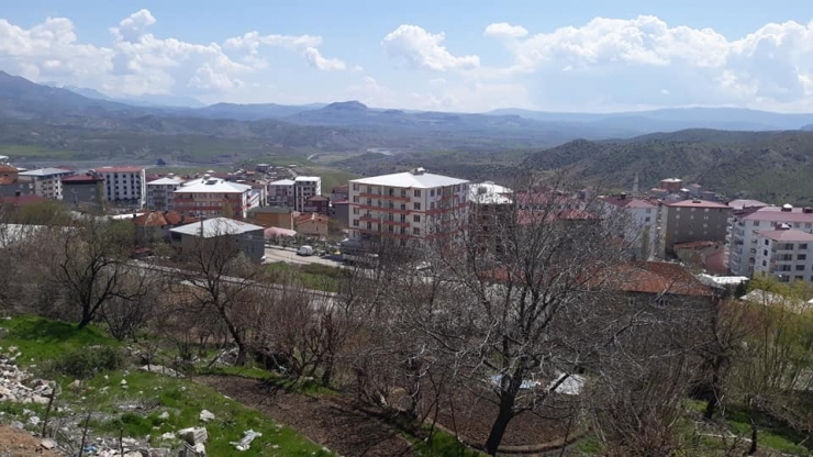 Kulp Sokakları Yasağın İkinci Gününde De Boş Kaldı