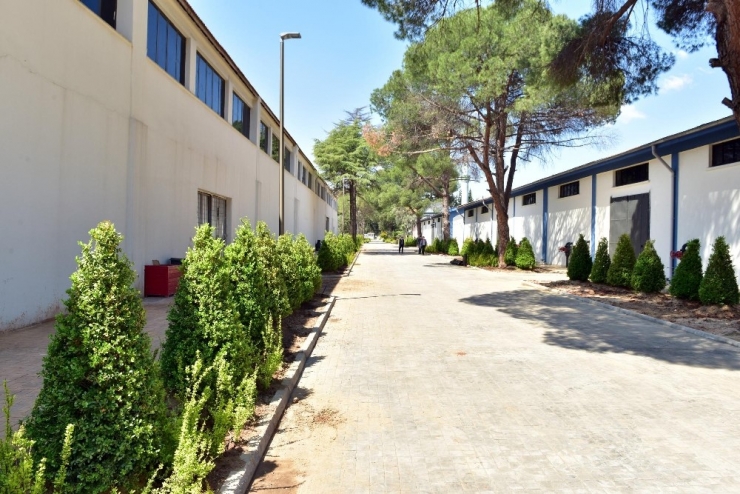 Dokumapark’a Yeşil Yol