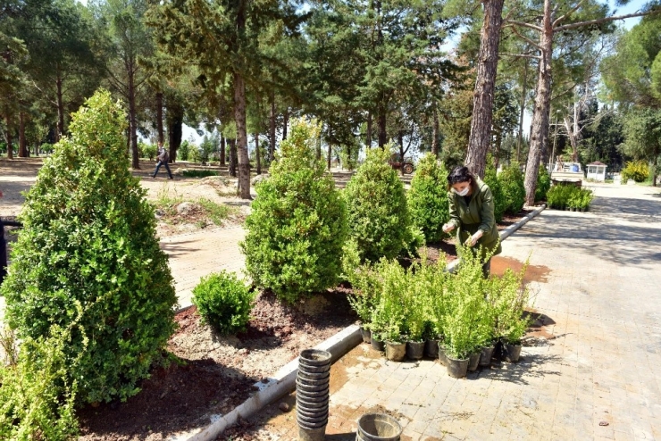 Dokumapark’a Yeşil Yol