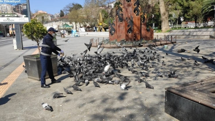İzmit’te Korona Virüsle Mücadele Çalışmaları Sürüyor