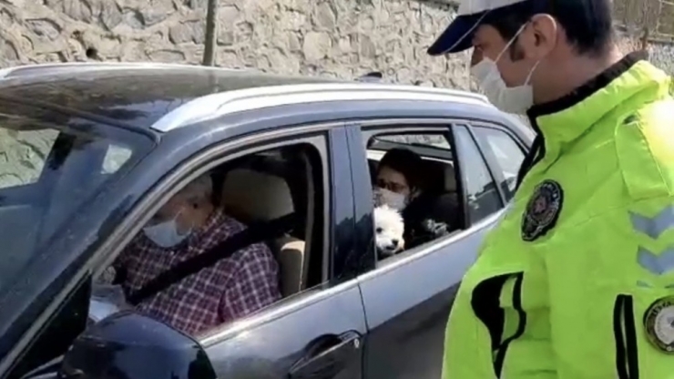Köpeğini Ameliyata Götüren Çiftle Polisin Diyaloğu Dikkat Çekti
