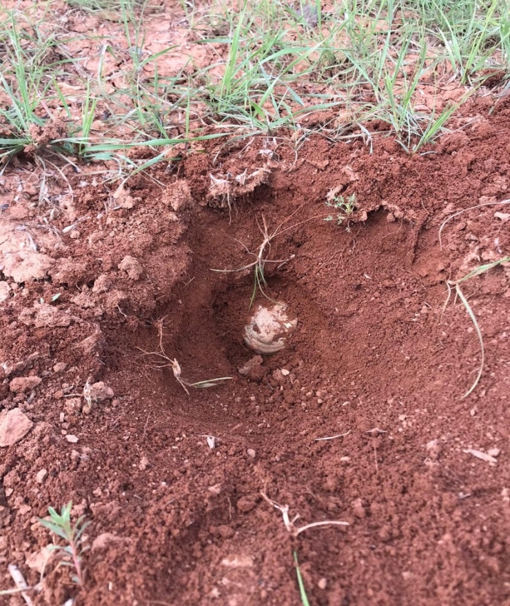 Kilis’te 16 Adet Mayın Bulundu