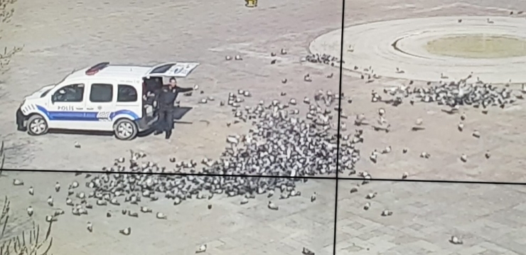 Konya’da Aç Kalan Güvercinleri Polis Besledi
