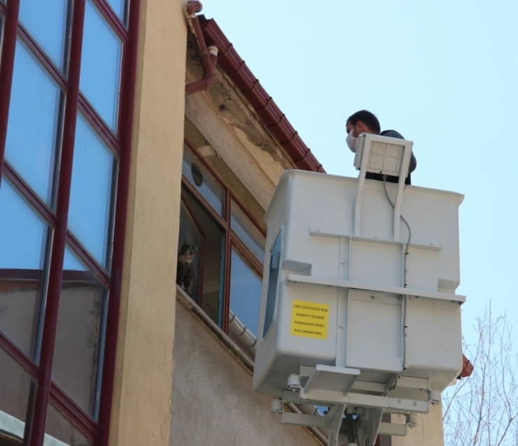 Mahsur Kalan Kedi Kurtarıldı