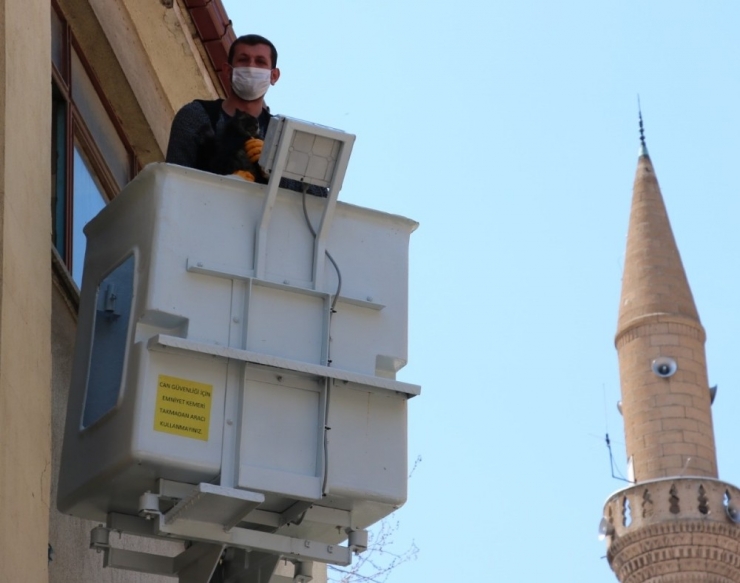 Mahsur Kalan Kedi Kurtarıldı