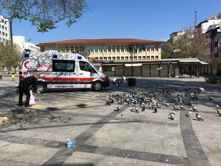 Anka Ve Cahide Sokak Hayvanlarını Besledi