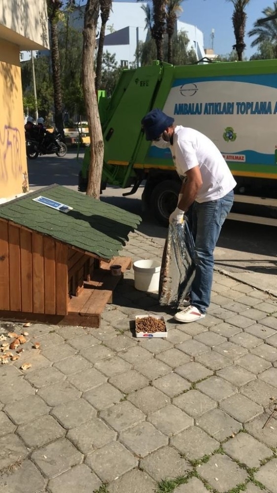 Kuşadası Belediyesi Sokak Hayvanlarını Unutmadı