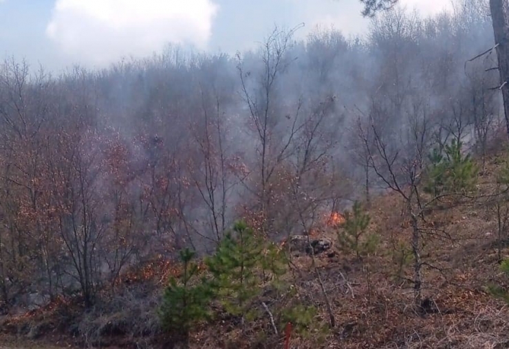 Kütahya Emet’te Orman Yangını