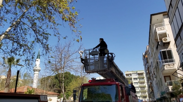 Manisa İtfaiyesinden Kuş Kurtarma Operasyonları