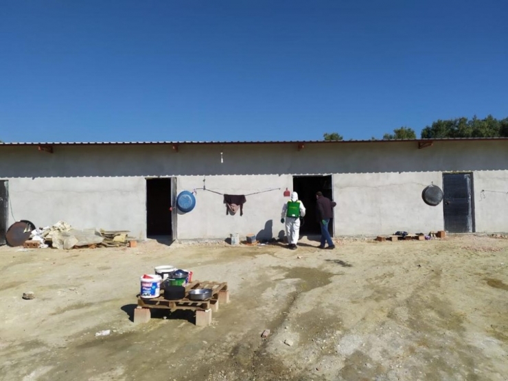 Mevsimlik İşçilerin Konaklama Yerleri Dezenfekte Edildi