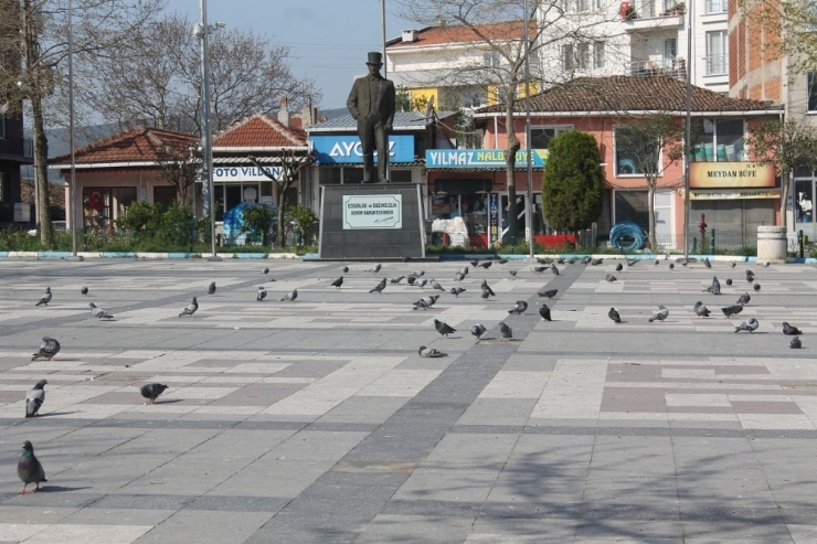 Manyas’ta Meydanlar Güvercinlere Kaldı