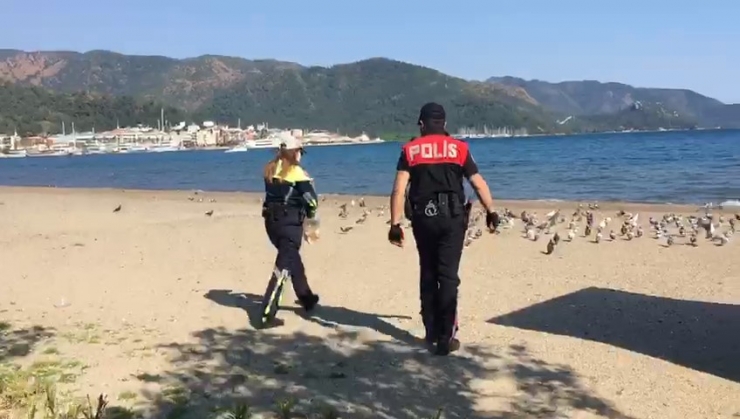 Marmaris Polisi Sokak Hayvanlarını Unutmadı