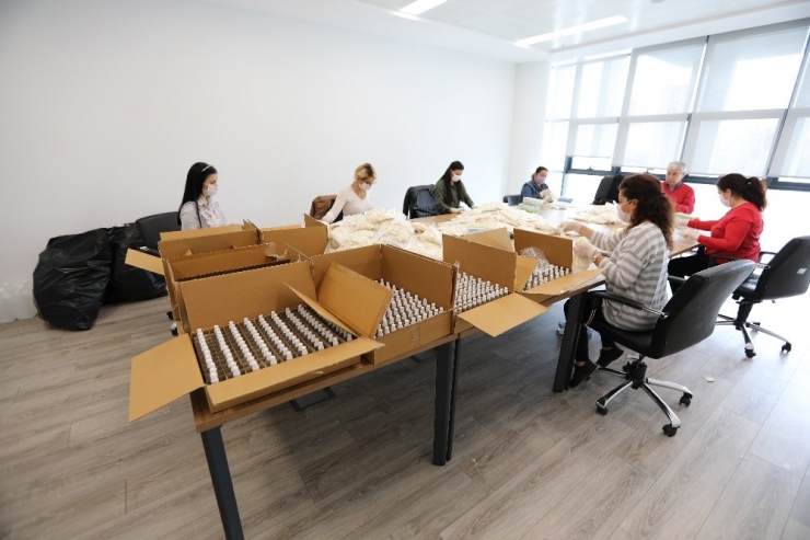 Mezitli’de Kadınlar Virüse Karşı El Birliği Yaptı