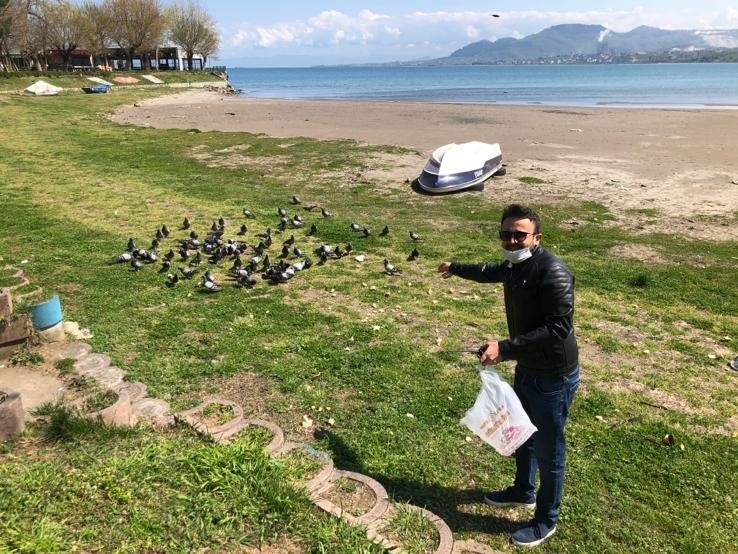 Şehrin Kahramanları Sokak Hayvanlarını Unutmadı