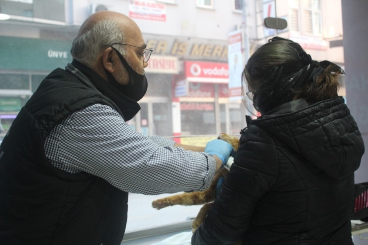 Kapısına Gelen Kedi İçin Sokağa Çıktı