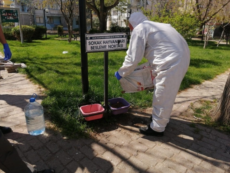 Salihli Belediyesi Vatandaşının Hizmetinde