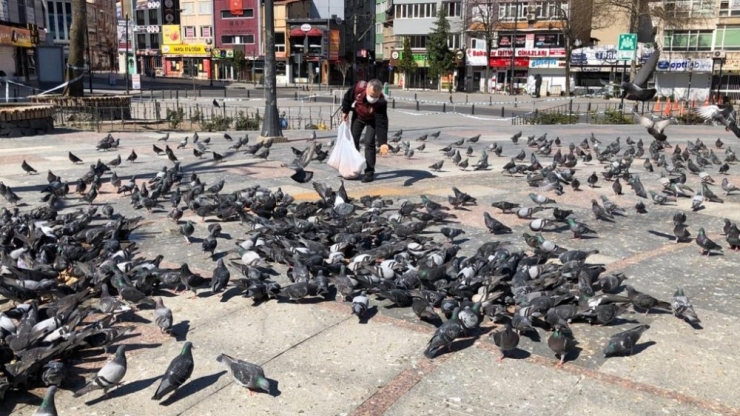 Meydanları Mesken Tutan Güvercinleri Polisler Besledi