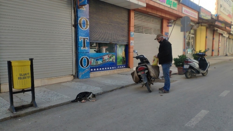 Sokağa Çıkma Yasağında Sokak Hayvanları Unutulmadı
