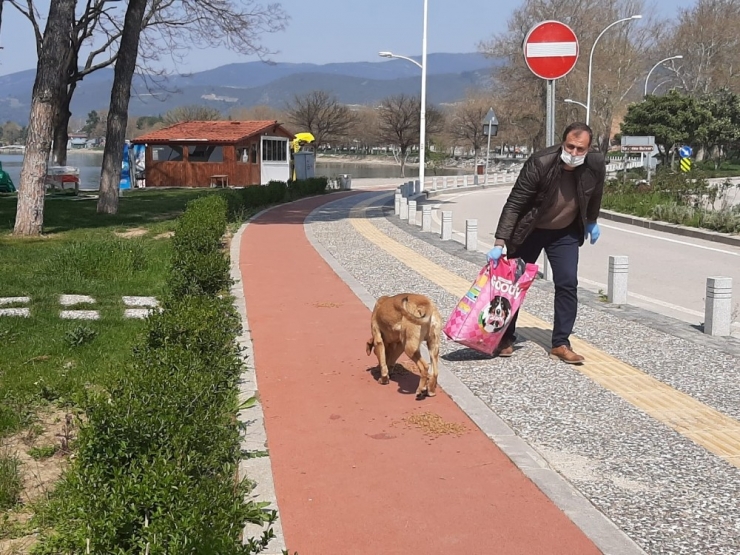 Başkan, Sokak Hayvanları İçin Çağrıda Bulunan Vatandaşa Özel Aracı İle Mama Götürdü