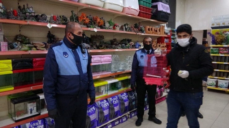Polis Ve Zabıta Ekibinden Minik Çocuklara Kuş Sürprizi