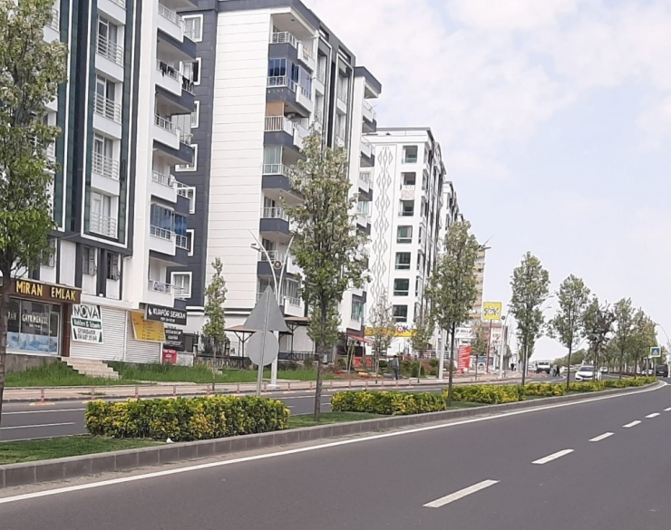 Bağlar Caddelerinde Bahar Havası