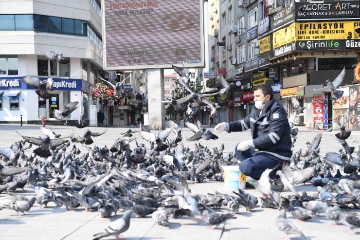 Sokak Hayvanlarına Mama Desteği