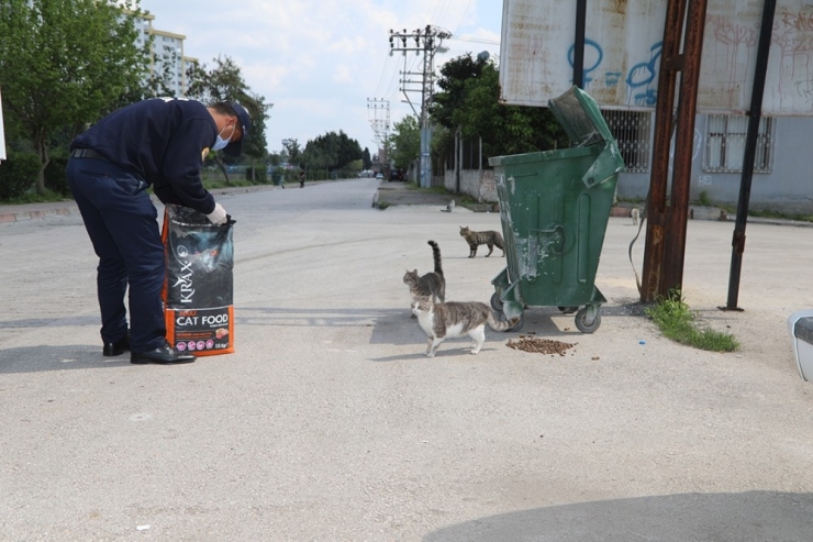 Yüreğir Belediyesi Sokak Hayvanlarını Unutmadı