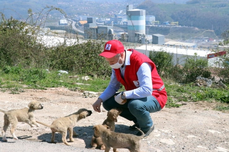 Karantinadaki Ailelere Kızılay Yardım Elini Uzattı