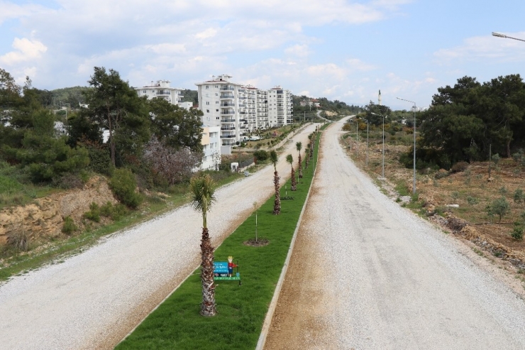 Daha Yeşil Bir Alanya İçin Çalışmalar Sürüyor