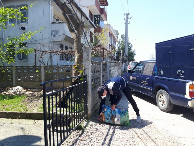 Sokağa Çıkamayan Çocuğun Doğum Günü Pastası Belediye Başkanından