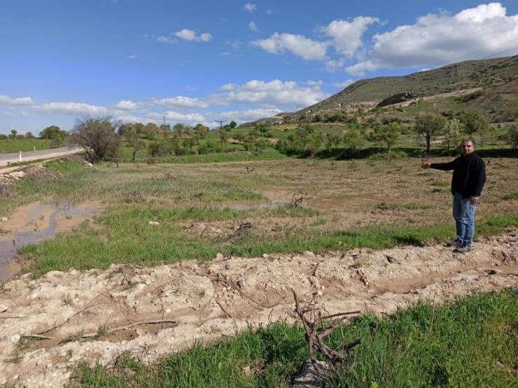 Gercüş’te Sağanak Yağış Ekinlere Zarar Verdi