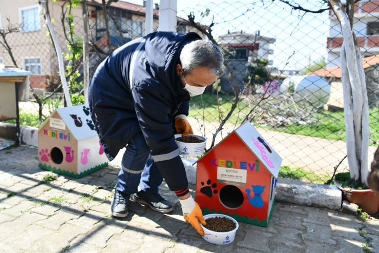 Çiftçi, "Sokak Hayvanları Aç Ve Açıkta Kalmayacak"