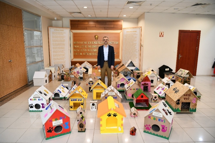 Çiftçi, "Sokak Hayvanları Aç Ve Açıkta Kalmayacak"