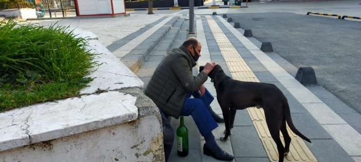 Tedbirlere Uymadı, Parkta Güpegündüz İçki İçti, Polis Yakaladı
