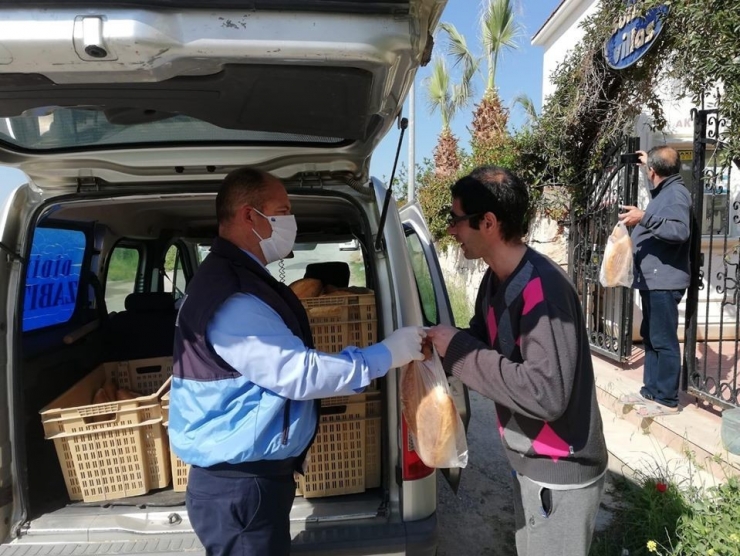 Didim’de Zabıtalar Sokağa Çıkamayanların İhtiyaçlarını Karşıladı