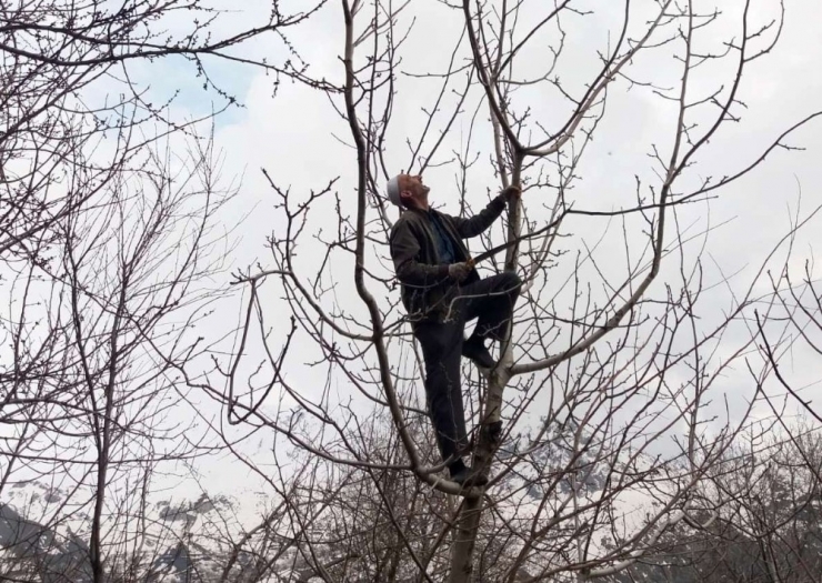 Din Görevlileri Yaşlıların Tarlalarını Sürüp Ağaçlarını Budadı