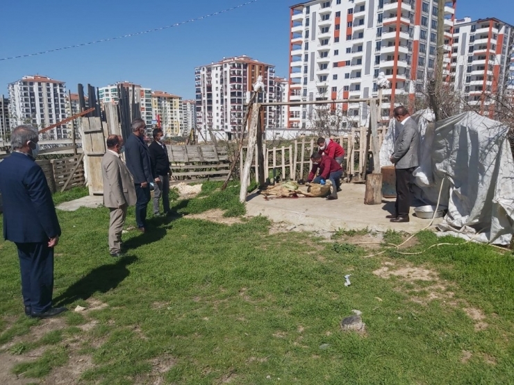Malatya’da Bakan Soylu İçin Koç Kesildi