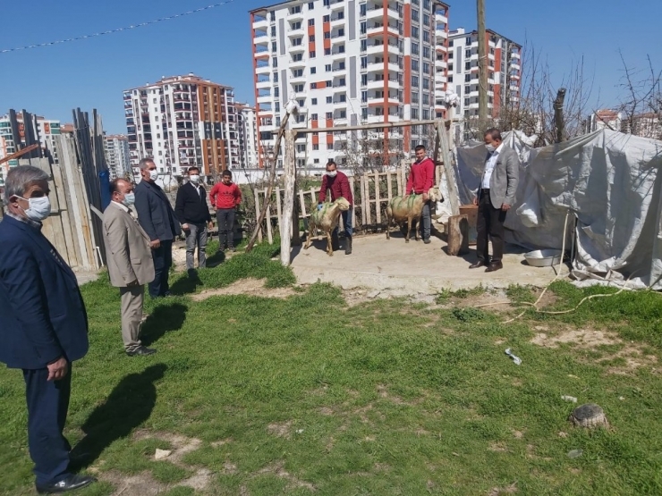 Malatya’da Bakan Soylu İçin Koç Kesildi