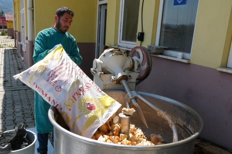 Isparta’da Sokak Hayvanları İçin Yemekhane Kuruldu