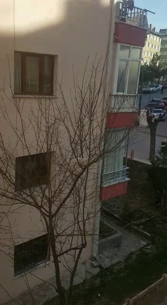 Tebessüm Ettiren Tavuk Kurtarma Operasyonu