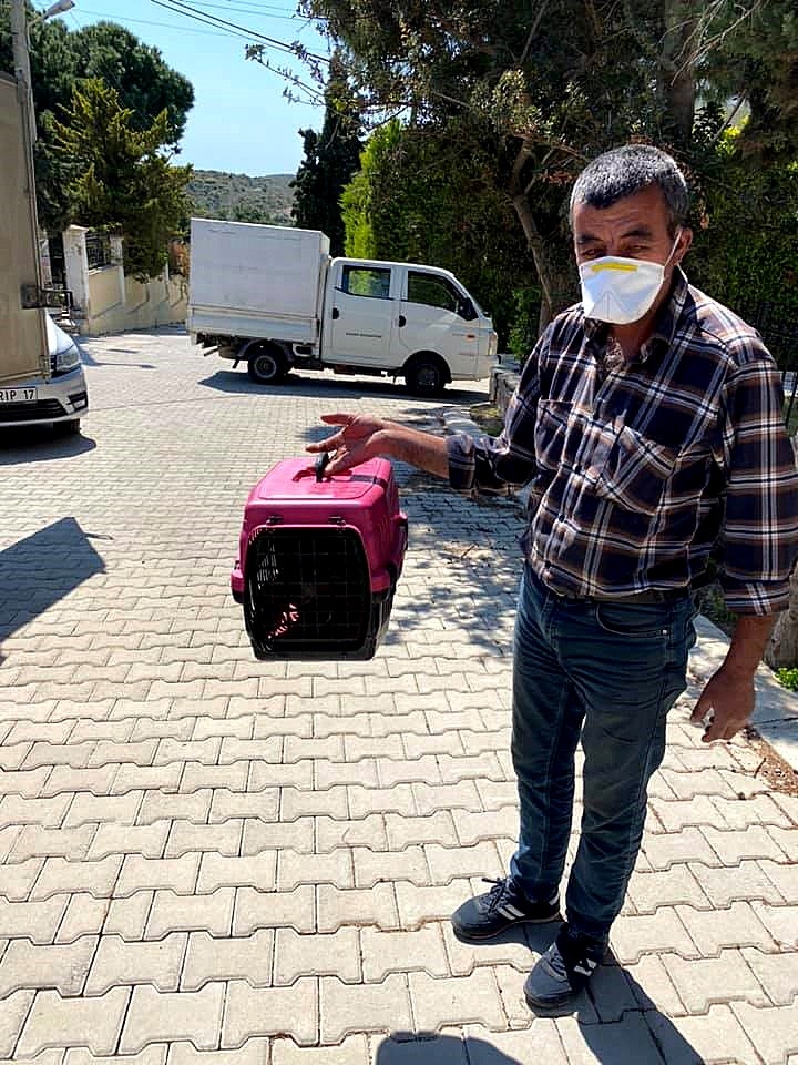 İzmir’de Vicdansızlık: Çöpe Atılan Kedi Yavruları Kurtarıldı