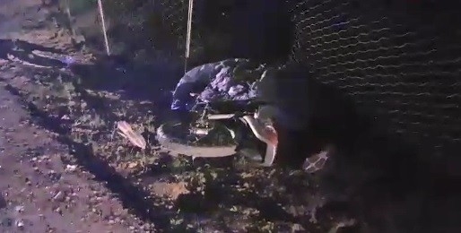 Motosiklet İle Hafif Ticari Araç Çarpıştı: 1 Ölü, 1 Yaralı