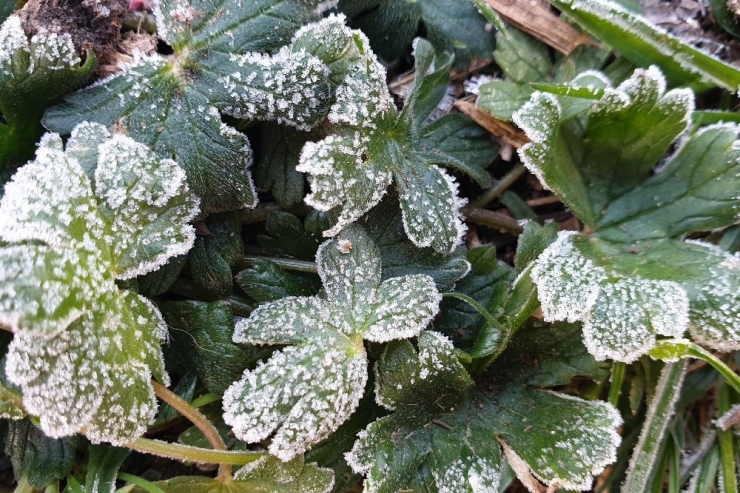 Dün Gece Türkiye’de En Düşük Sıcaklık Gümüşhane’de Ölçüldü